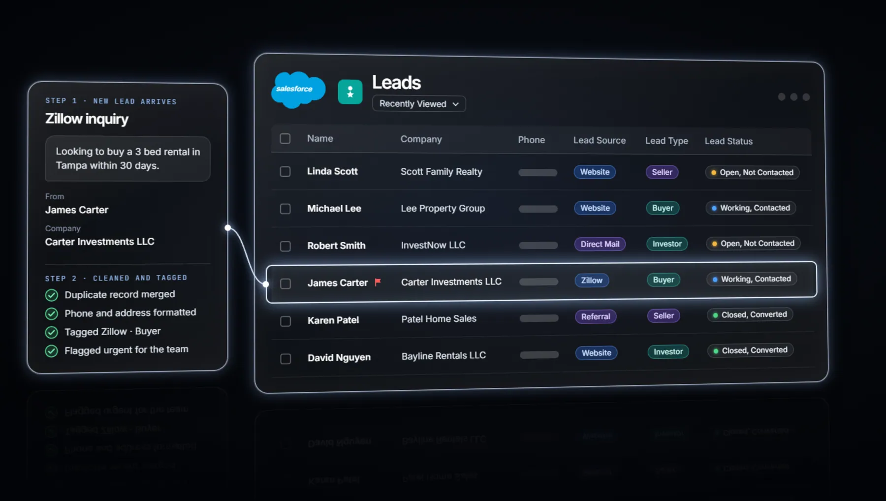 Salesforce lead records tagged, classified and flagged
